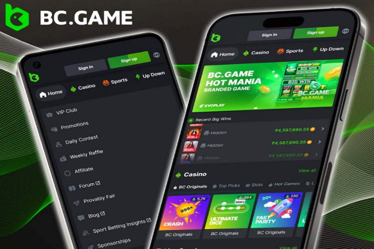 Predictions on BC.Game Navigating the Future of Online Gaming